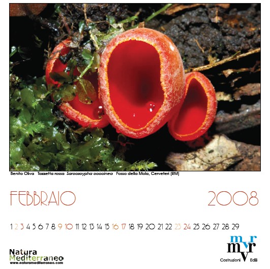 febbraio