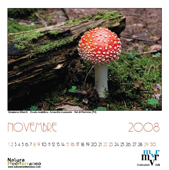 novembre