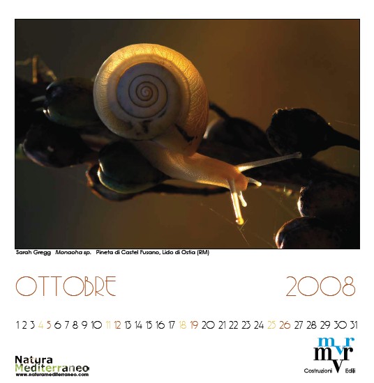 ottobre
