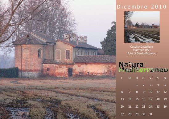 Calendario