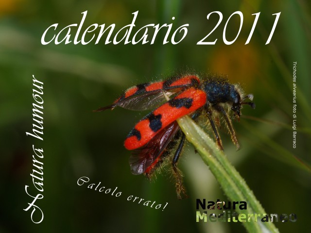 Calendario