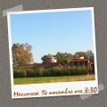 webcam itinerante