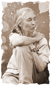 Jane Goodall