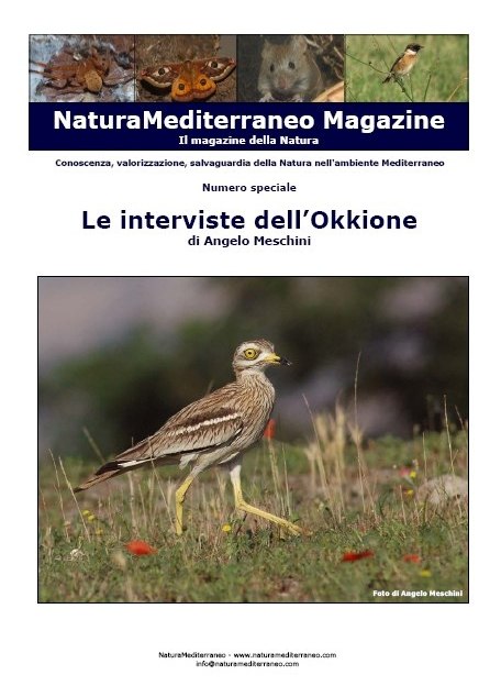 Magazine speciale