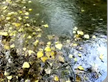 Rio a Ceri