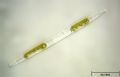 Nitzschia sp.
