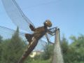 Libellula depressa