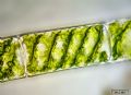Spirogyra sp.