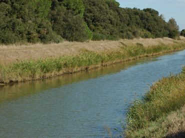 L'Oasi di Macchiagrande